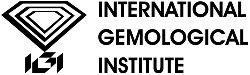 logo IGI